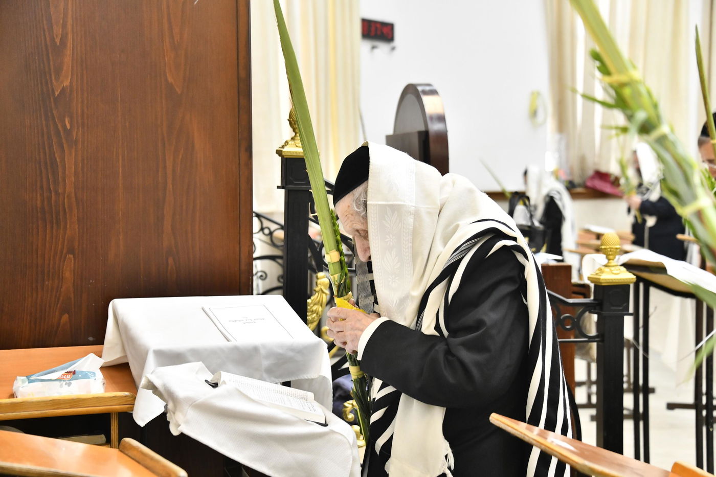 הגר"ד לנדו בנענועים