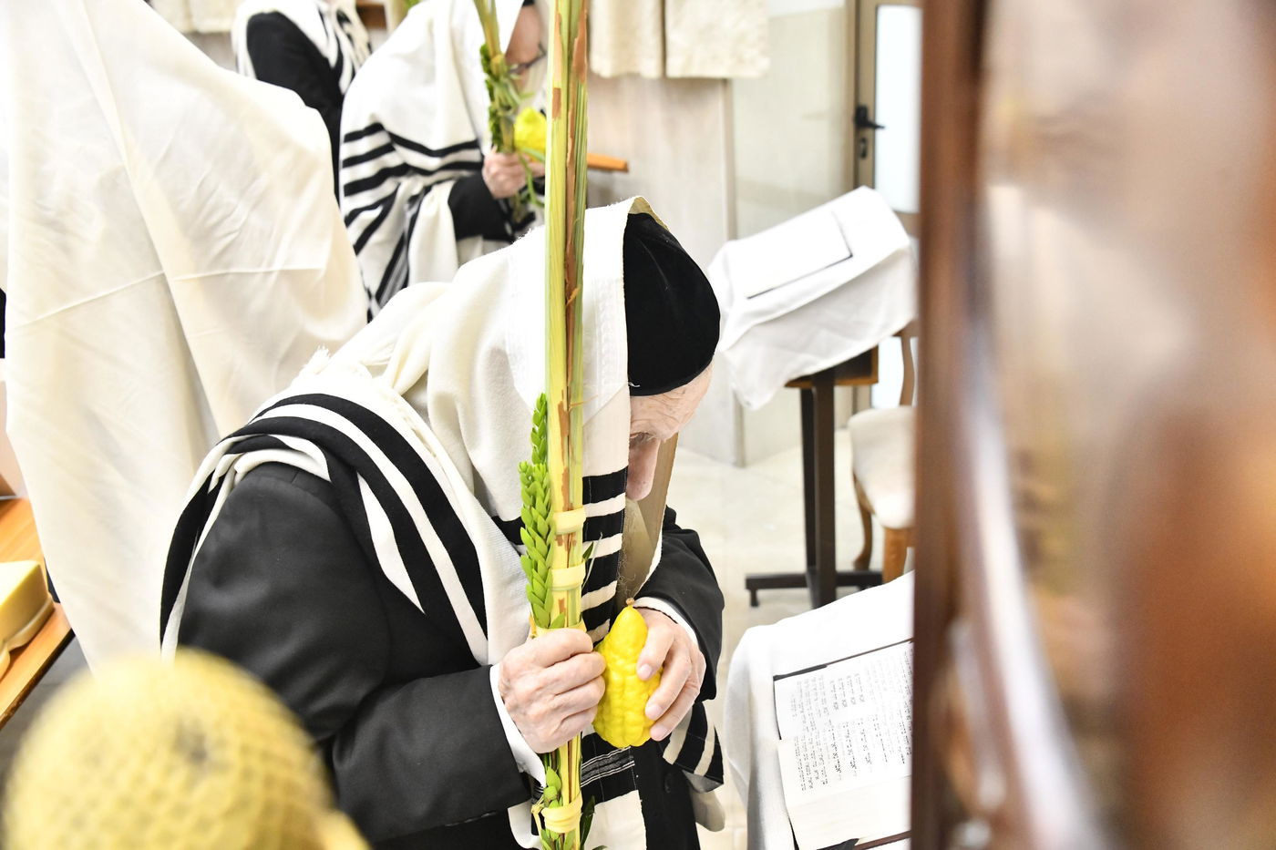 הגר"ד לנדו בנענועים