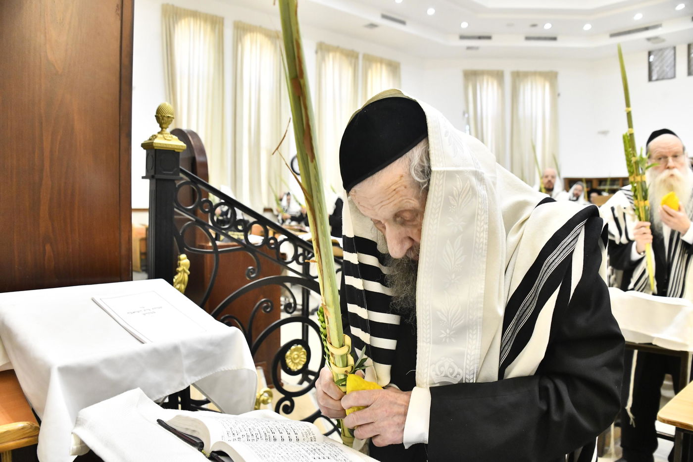 הגר"ד לנדו בנענועים