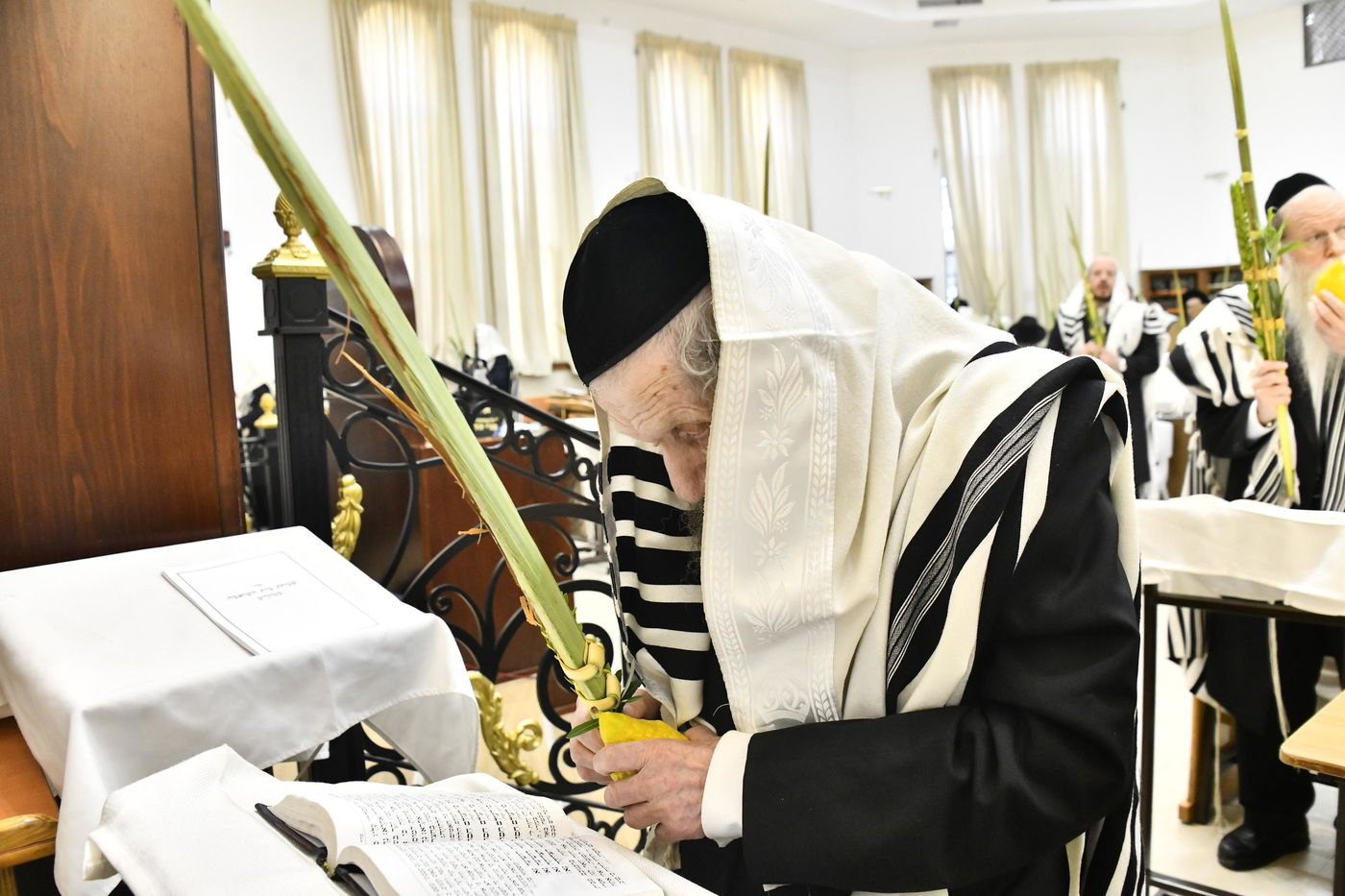 הגר"ד לנדו בנענועים