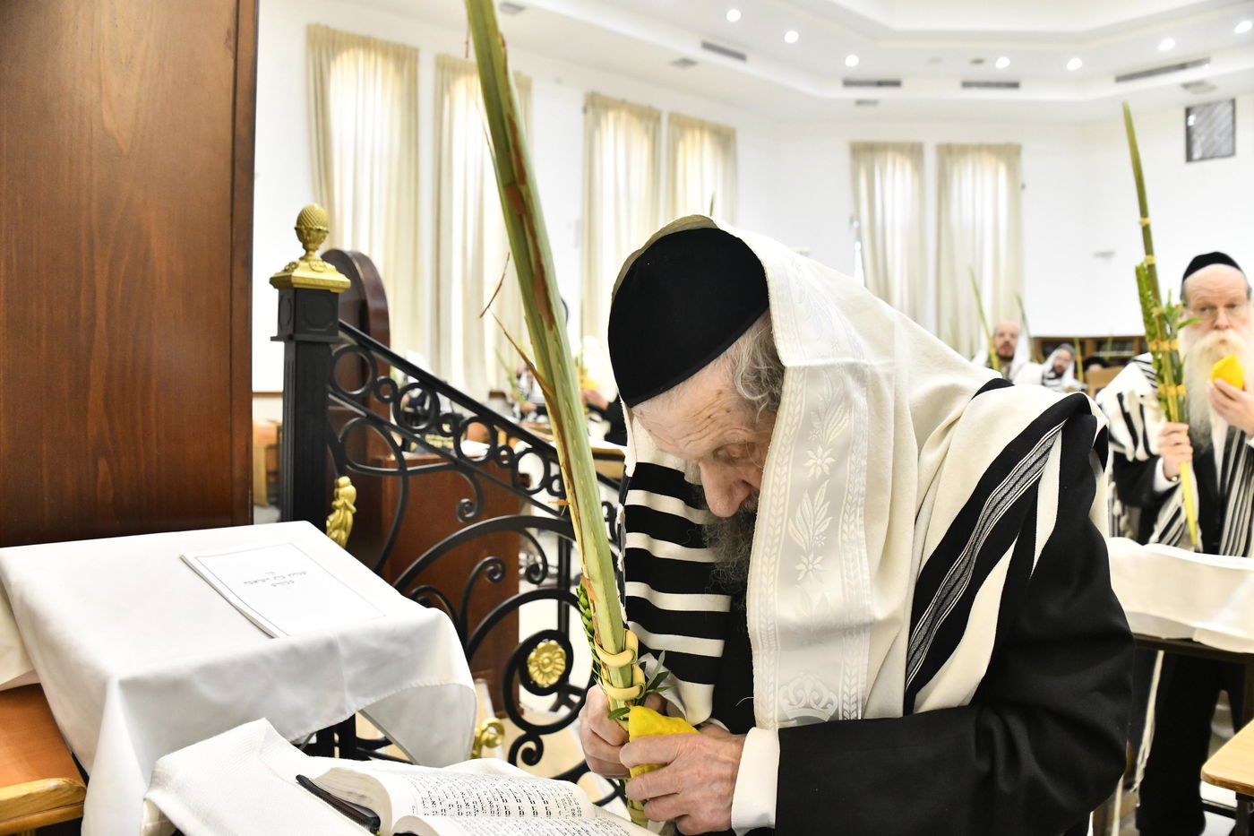 הגר"ד לנדו בנענועים