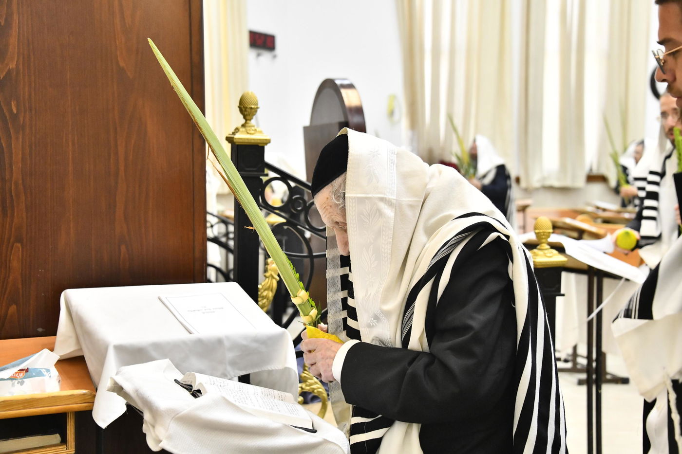 הגר"ד לנדו בנענועים