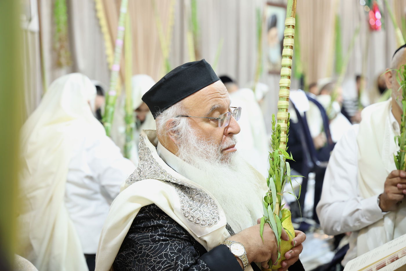 גדולי ישראל הספרדים בנטילת לולב בחול המועד