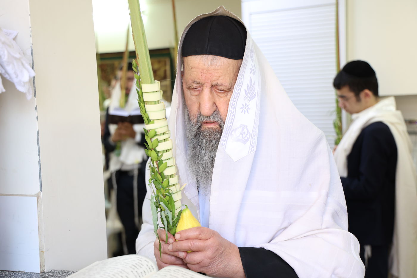 גדולי ישראל הספרדים בנטילת לולב בחול המועד