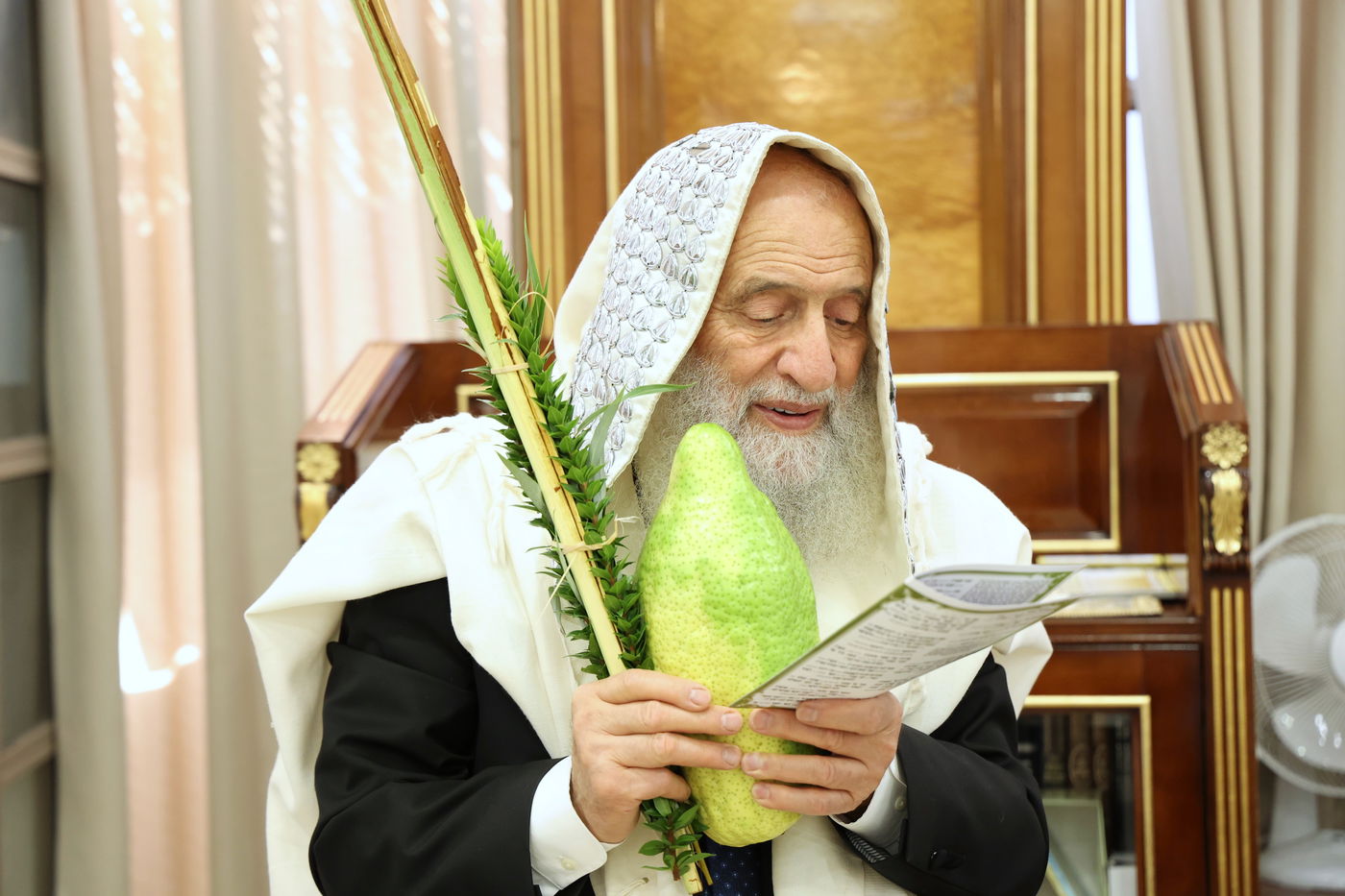 גדולי ישראל הספרדים בנטילת לולב בחול המועד