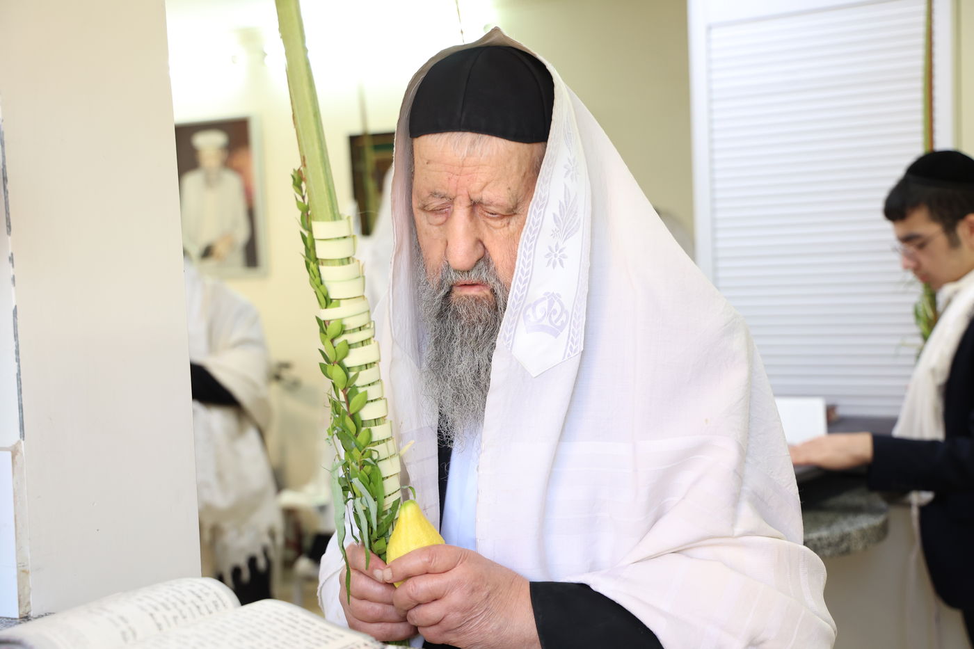 גדולי ישראל הספרדים בנטילת לולב בחול המועד