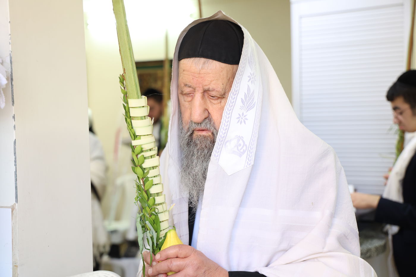 גדולי ישראל הספרדים בנטילת לולב בחול המועד
