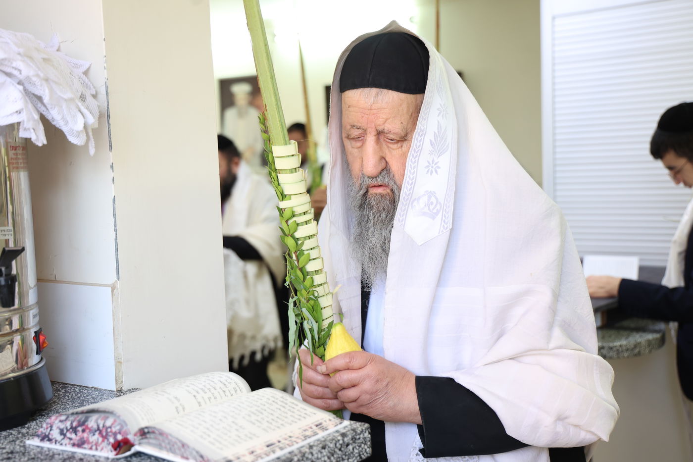 גדולי ישראל הספרדים בנטילת לולב בחול המועד