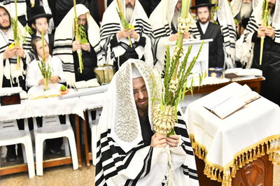 האדמו"ר מסאדיגורה בנטילת לולב