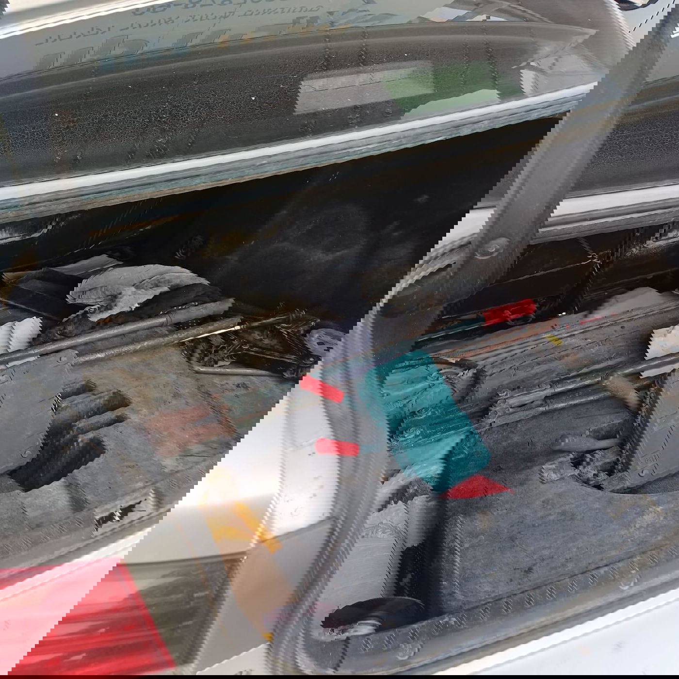 התפיסה המשטרתית