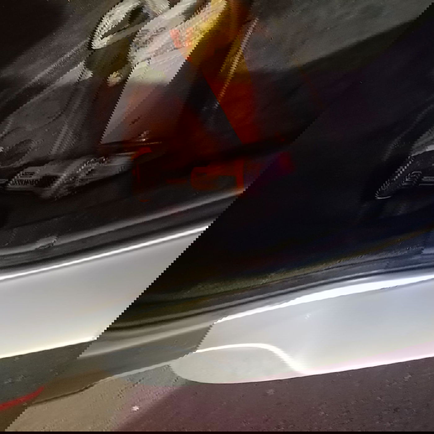 התפיסה המשטרתית