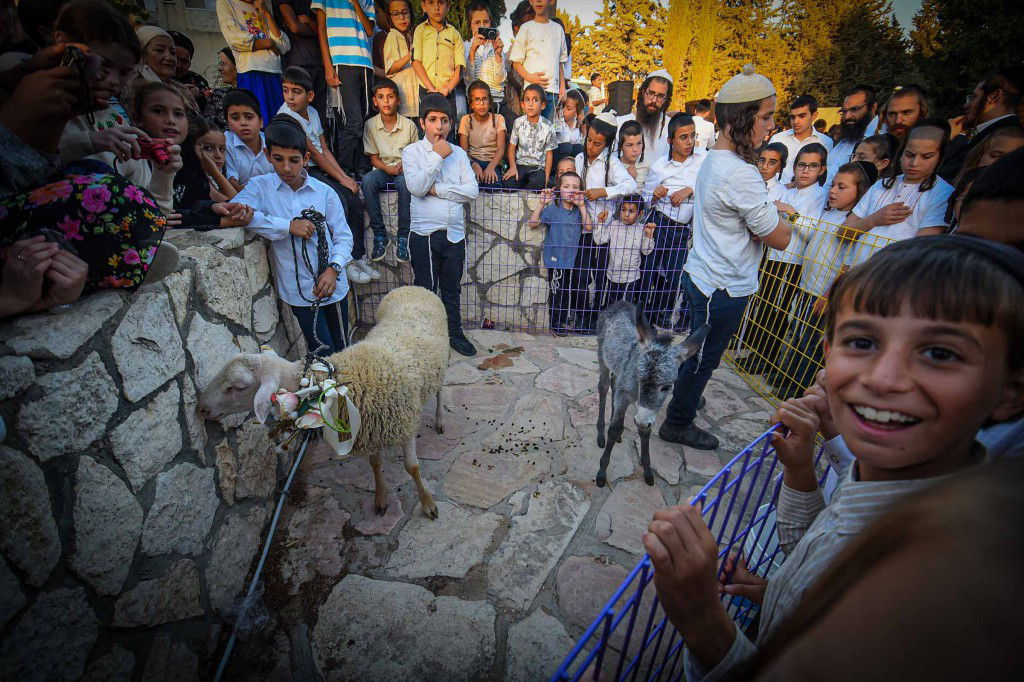 פדיון פטר חמור בעמנואל