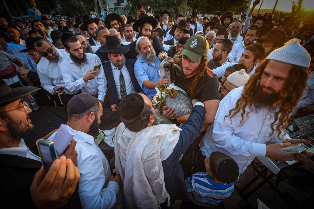 פדיון פטר חמור בעמנואל