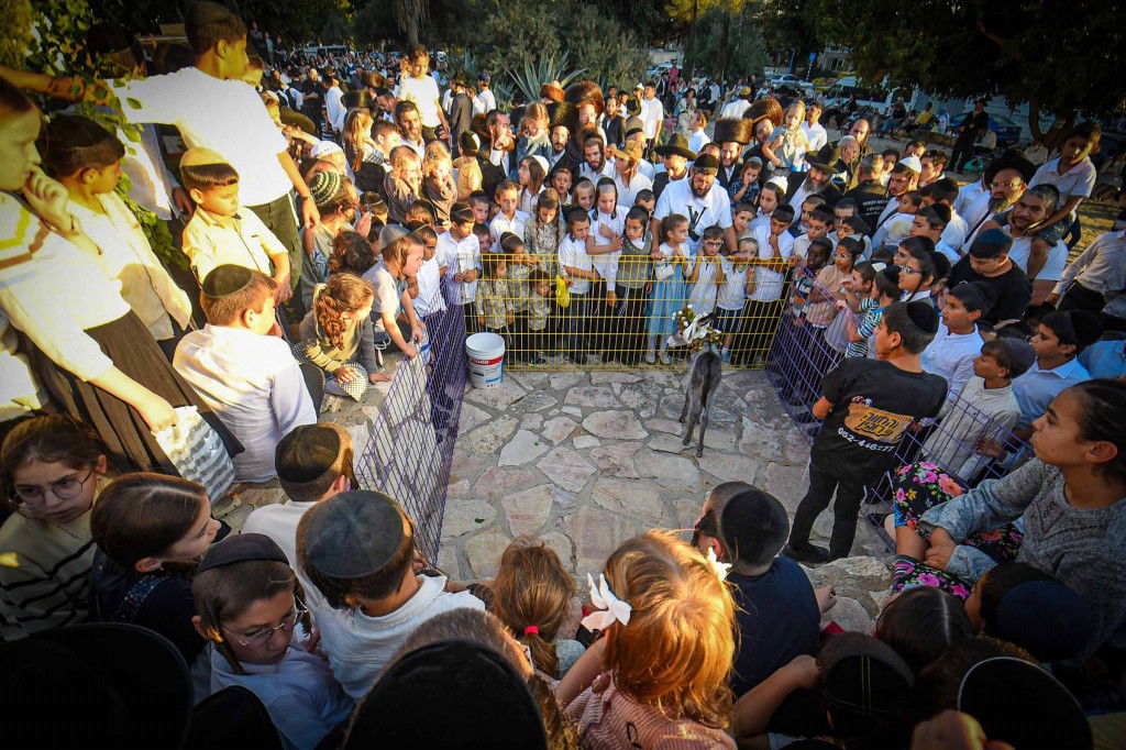 פדיון פטר חמור בעמנואל