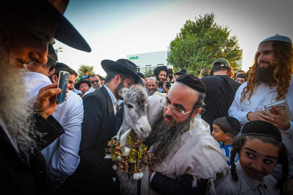 פדיון פטר חמור בעמנואל