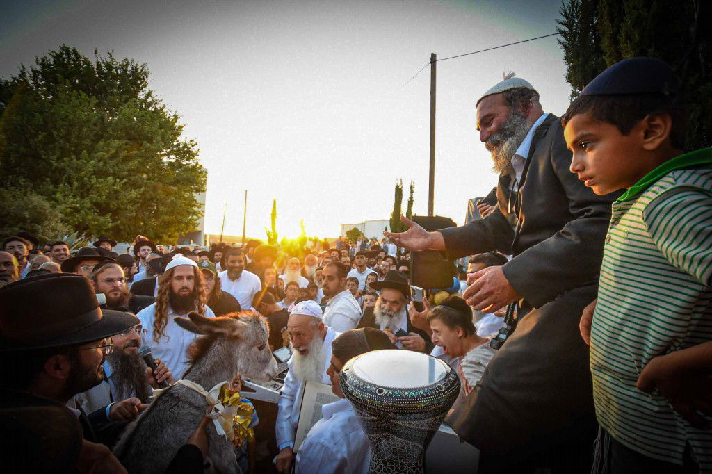 פדיון פטר חמור בעמנואל