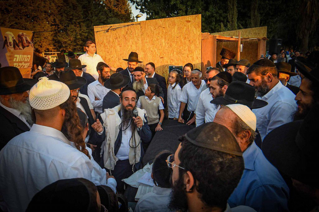 פדיון פטר חמור בעמנואל