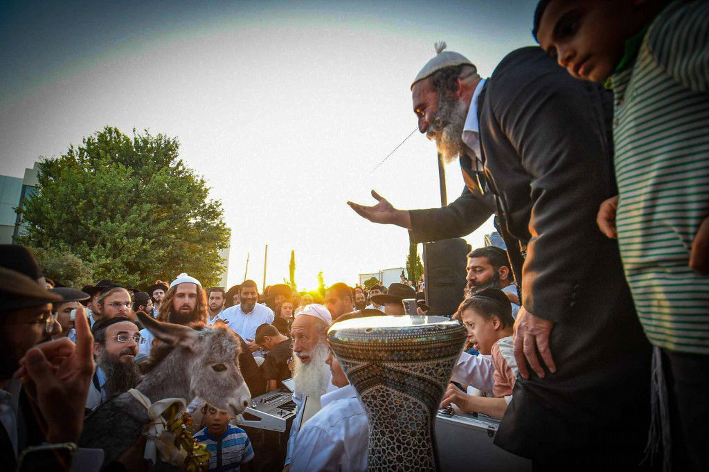 פדיון פטר חמור בעמנואל