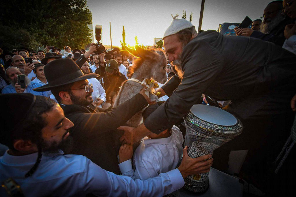 פדיון פטר חמור בעמנואל