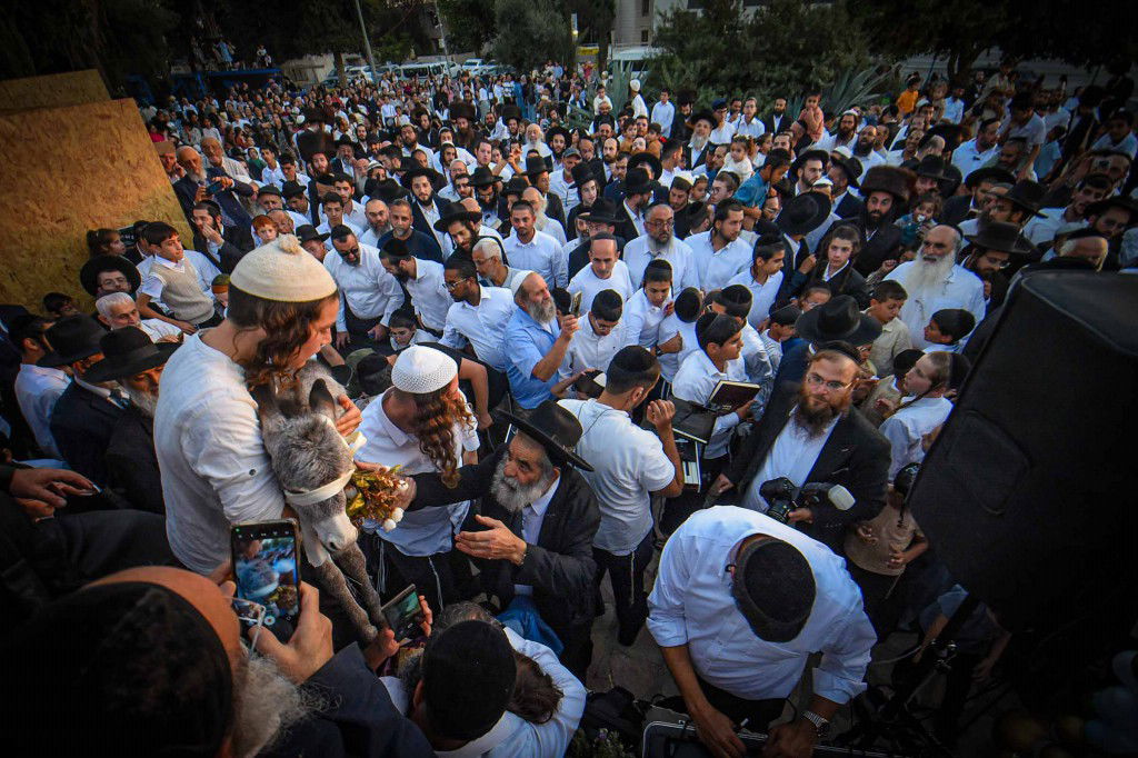 פדיון פטר חמור בעמנואל