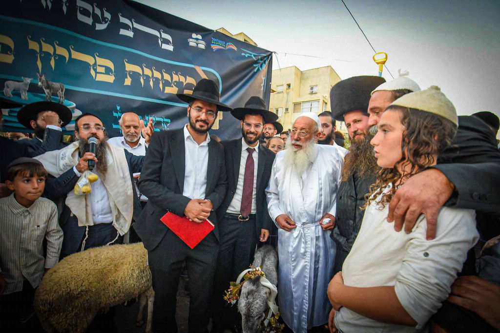 פדיון פטר חמור בעמנואל