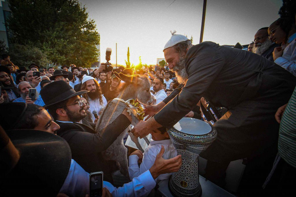 פדיון פטר חמור בעמנואל