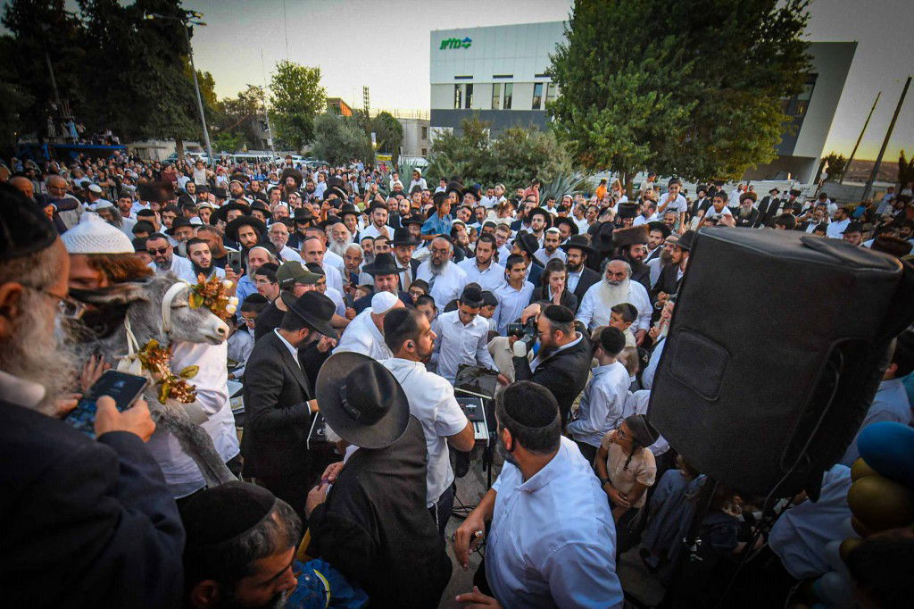 פדיון פטר חמור בעמנואל