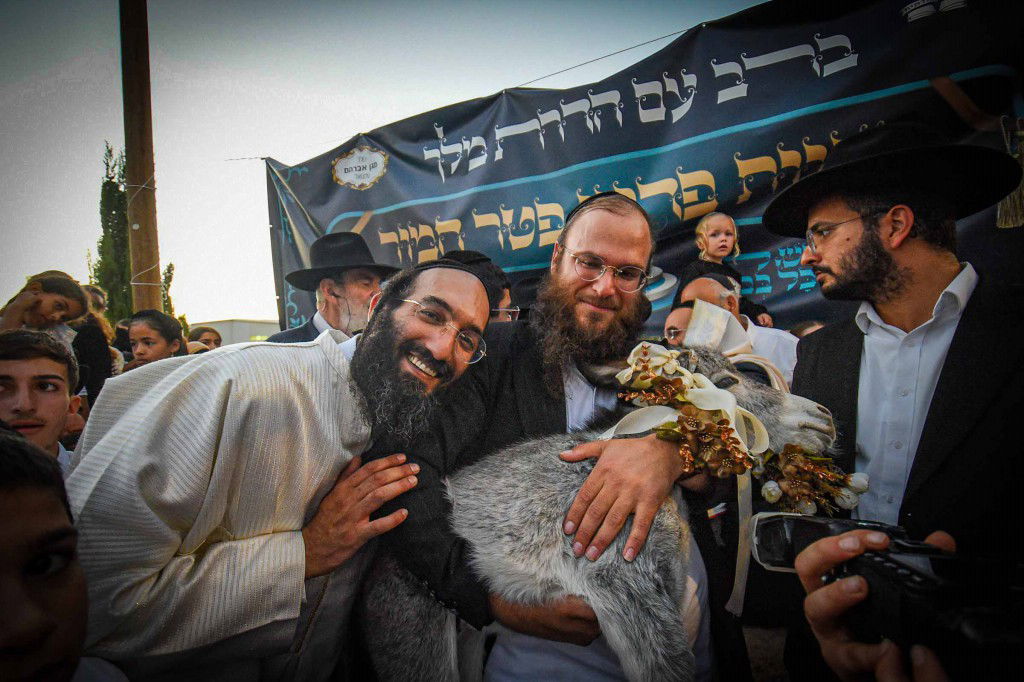 פדיון פטר חמור בעמנואל