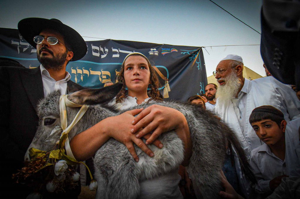 פדיון פטר חמור בעמנואל