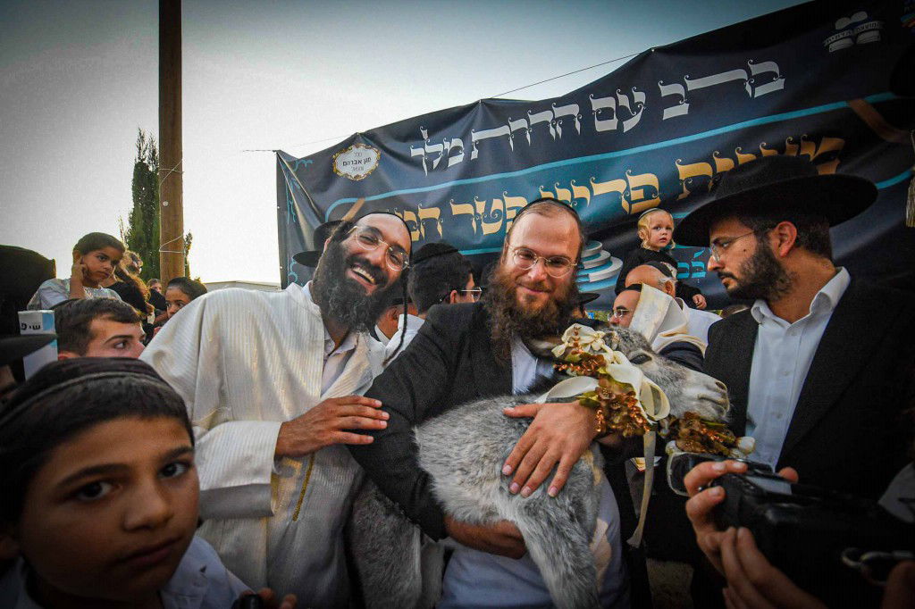 פדיון פטר חמור בעמנואל