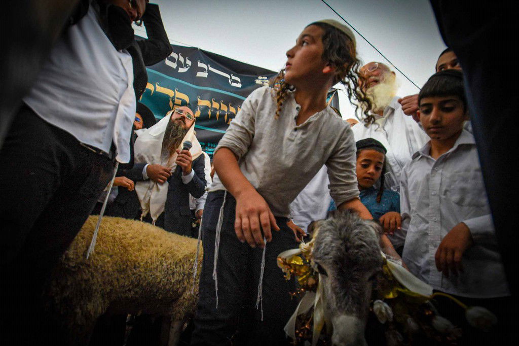 פדיון פטר חמור בעמנואל