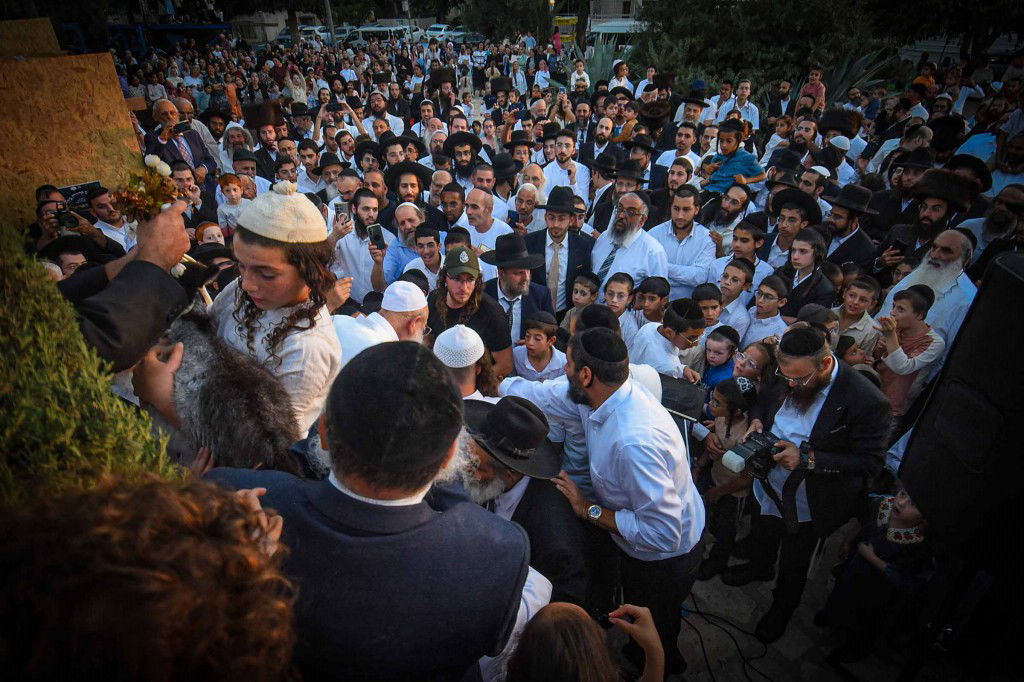 פדיון פטר חמור בעמנואל