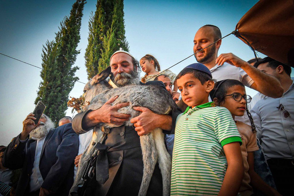 פדיון פטר חמור בעמנואל