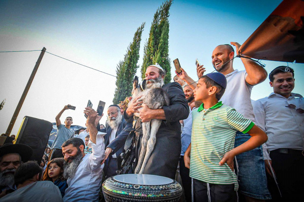 פדיון פטר חמור בעמנואל