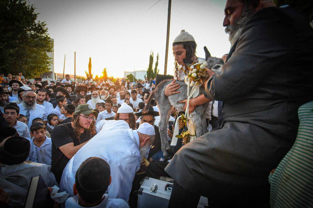 פדיון פטר חמור בעמנואל