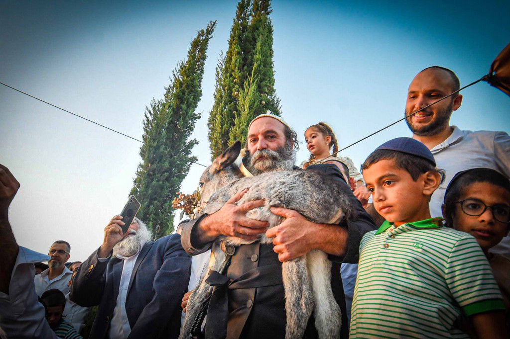 פדיון פטר חמור בעמנואל