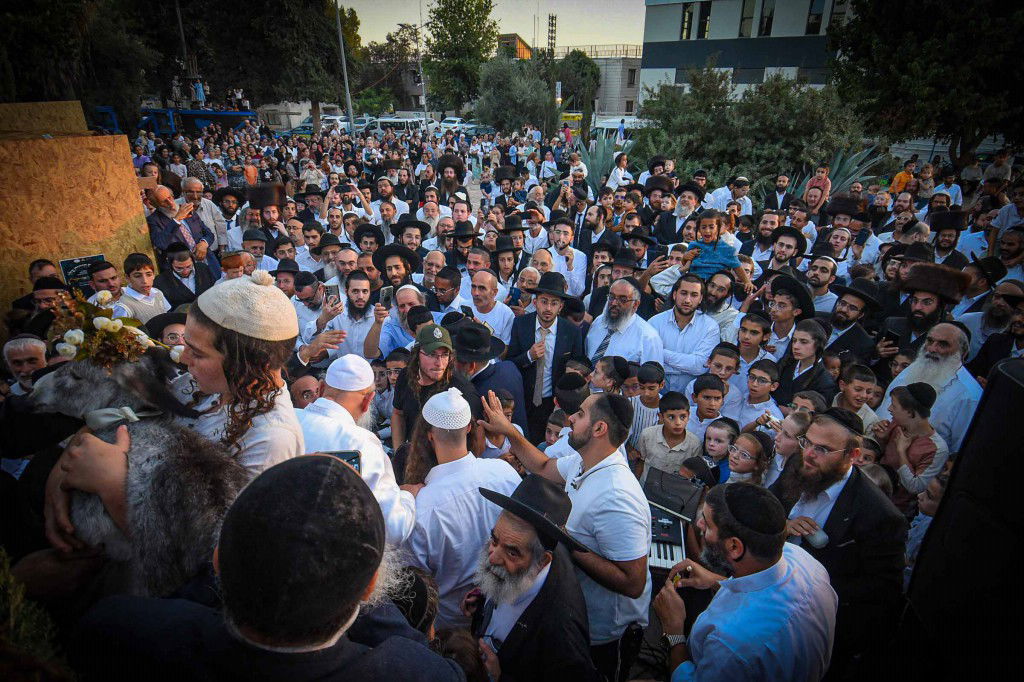 פדיון פטר חמור בעמנואל