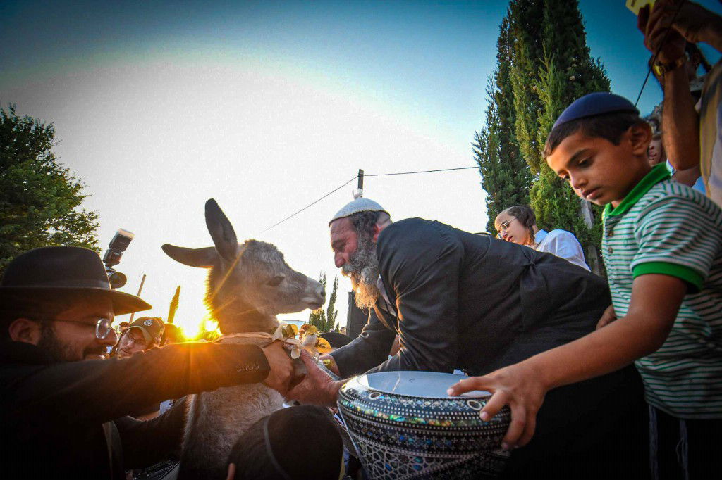 פדיון פטר חמור בעמנואל