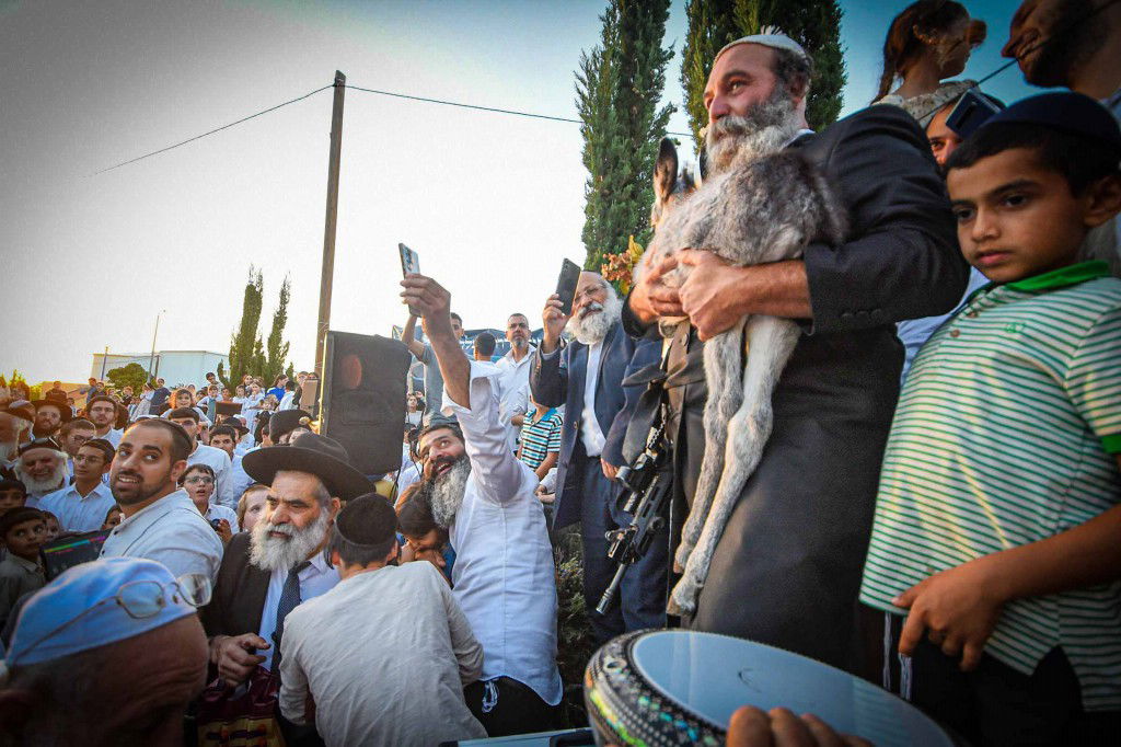 פדיון פטר חמור בעמנואל