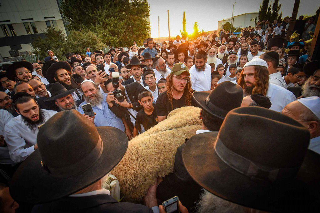 פדיון פטר חמור בעמנואל