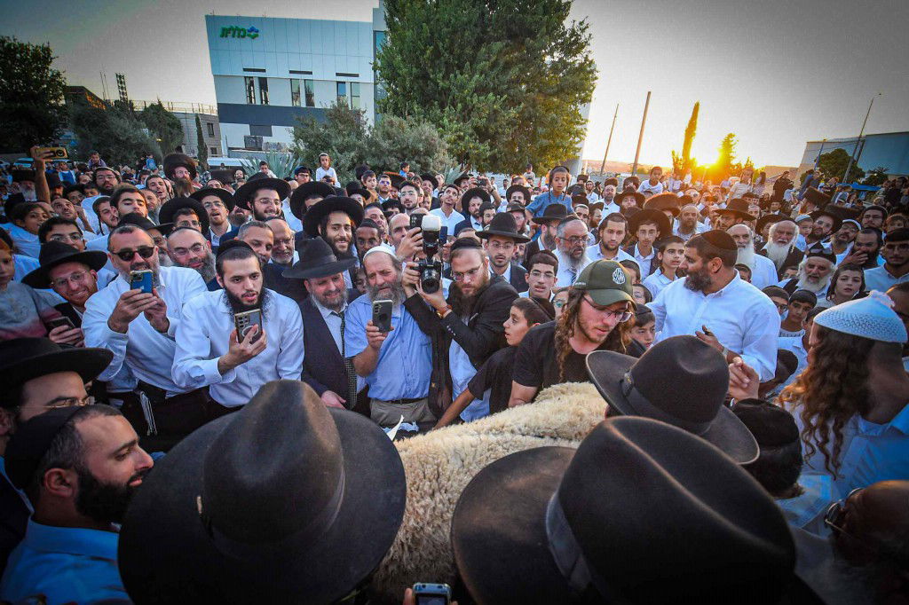 פדיון פטר חמור בעמנואל