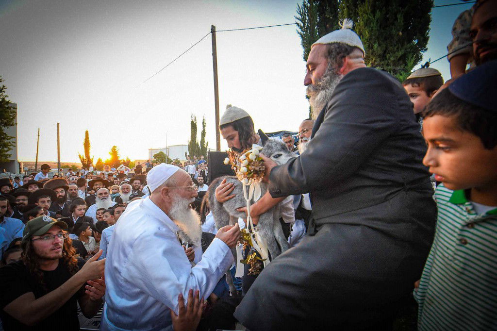 פדיון פטר חמור בעמנואל