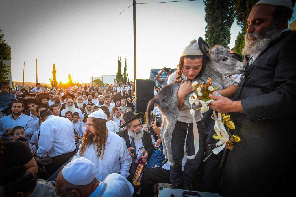 פדיון פטר חמור בעמנואל