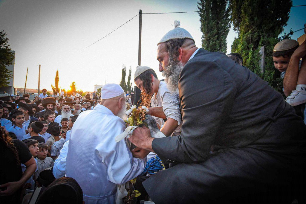 פדיון פטר חמור בעמנואל