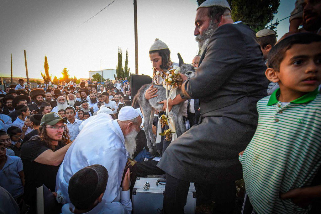 פדיון פטר חמור בעמנואל