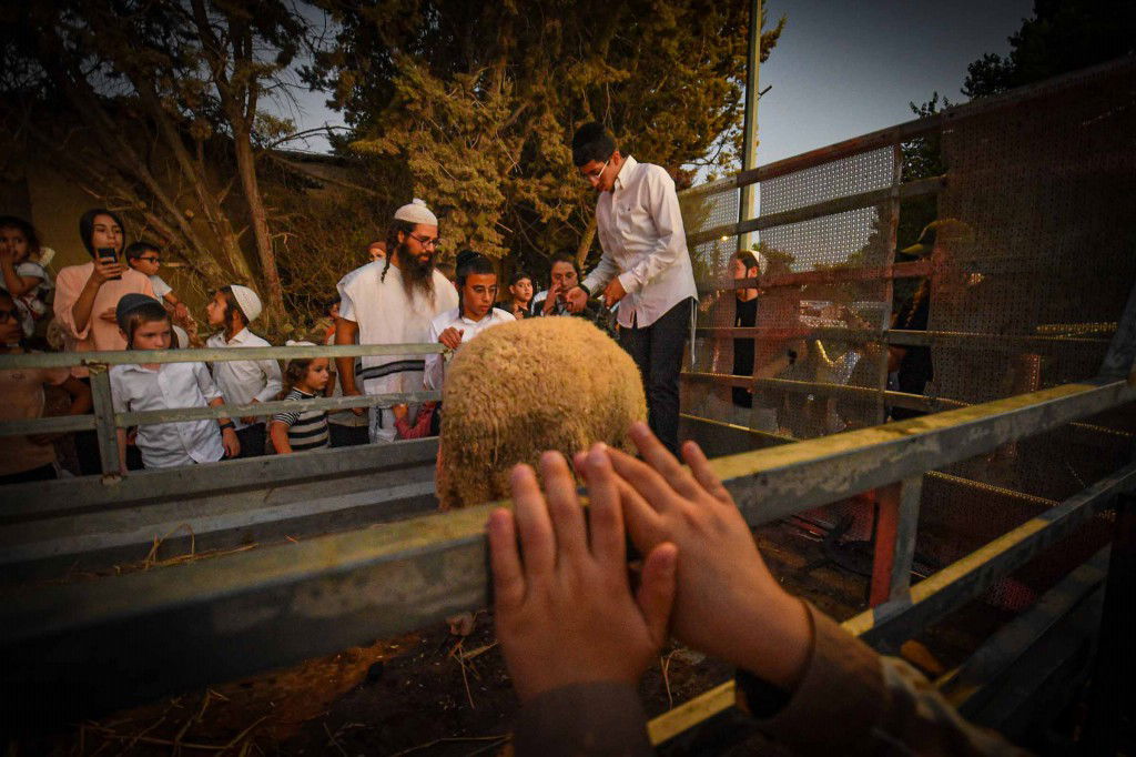 פדיון פטר חמור בעמנואל