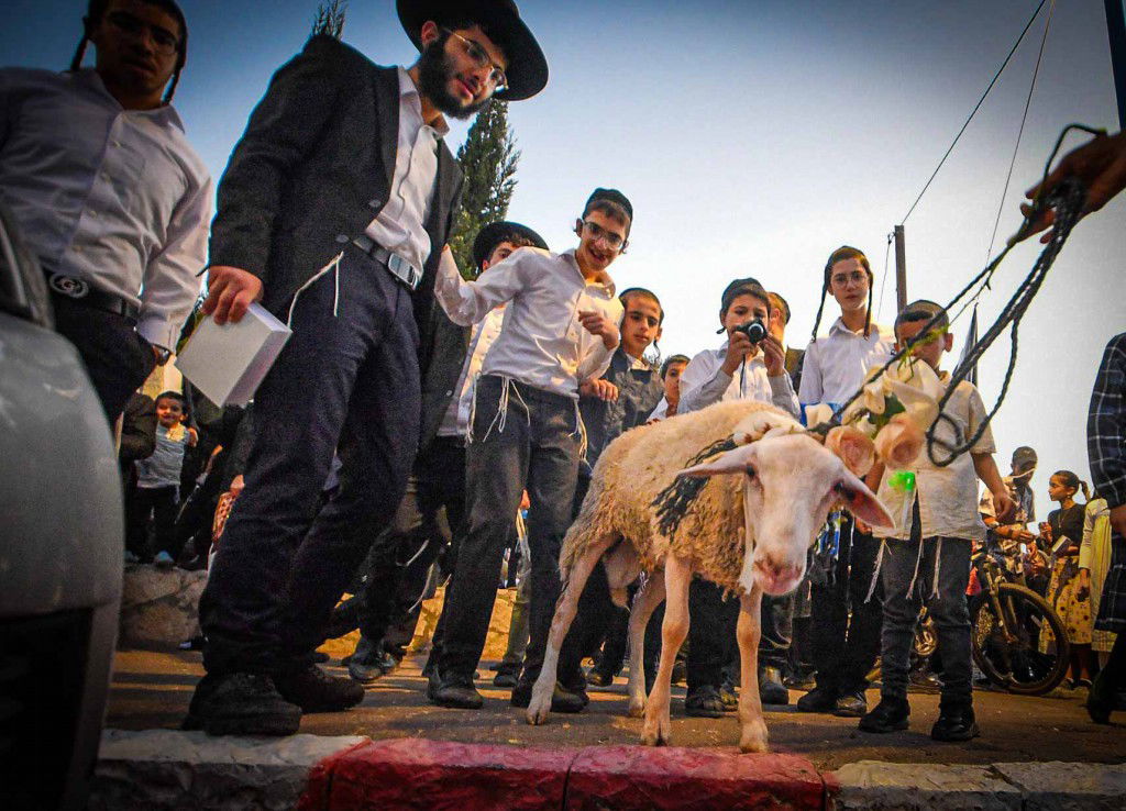 פדיון פטר חמור בעמנואל