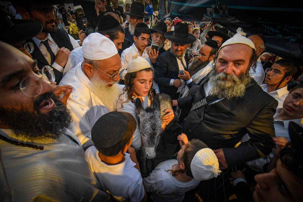 פדיון פטר חמור בעמנואל