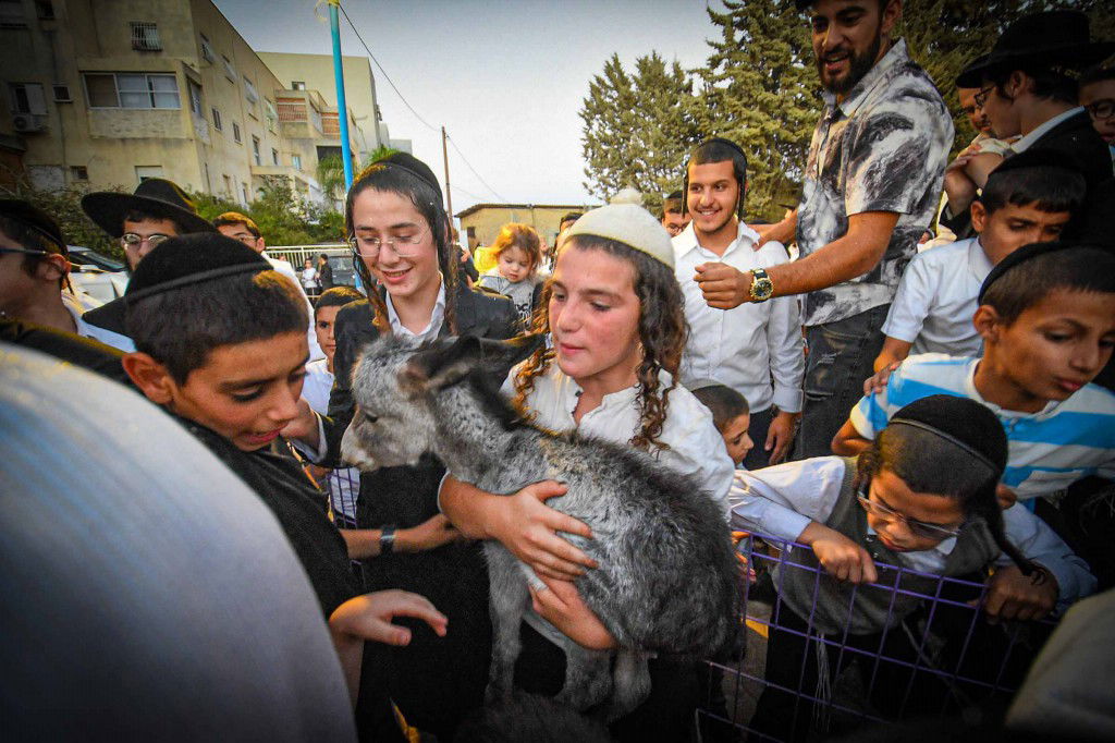 פדיון פטר חמור בעמנואל