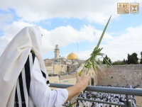 היום השני של ברכת כהנים, חול המועד סוכות תשפ"ו